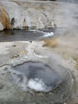yellowstone2008 050.jpg