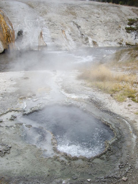 yellowstone2008 051.jpg