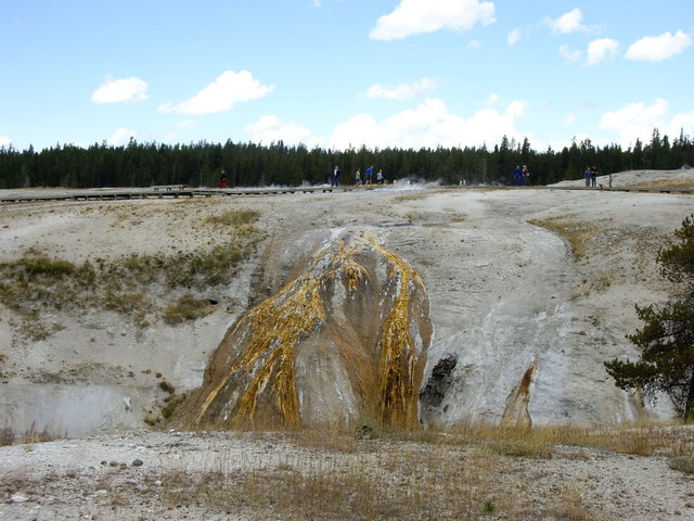 yellowstone2008 052.jpg