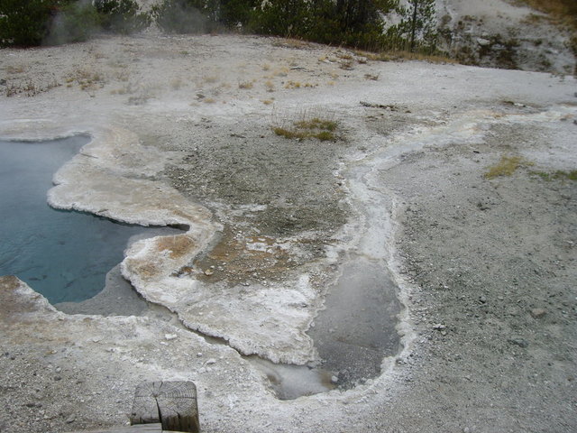 yellowstone2008 055.jpg