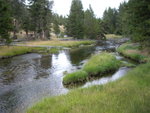 yellowstone2008 058.jpg