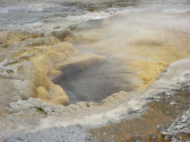 yellowstone2008 070.jpg