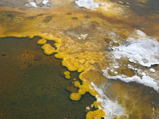 yellowstone2008 072.jpg