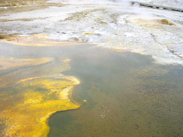 yellowstone2008 073.jpg