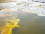 yellowstone2008 073.jpg