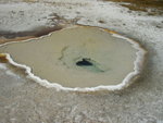 yellowstone2008 080.jpg