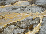 yellowstone2008 091.jpg
