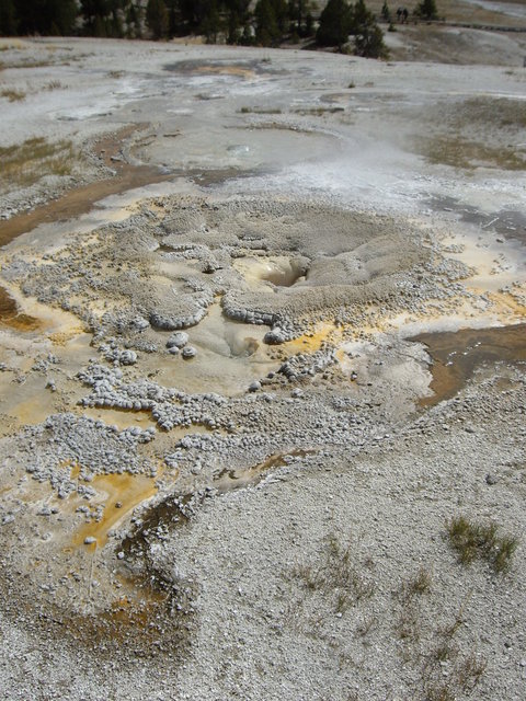 yellowstone2008 092.jpg