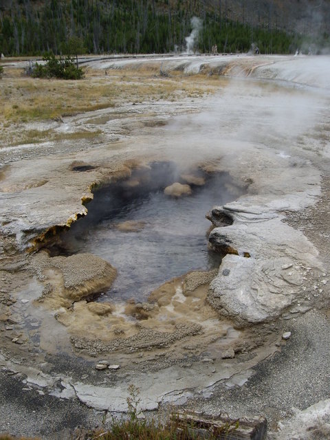 yellowstone2008 094.jpg