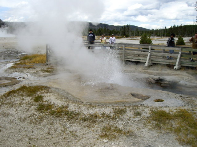 yellowstone2008 096.jpg