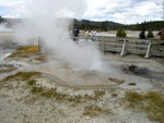 yellowstone2008 096.jpg