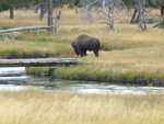 yellowstone2008 100.jpg