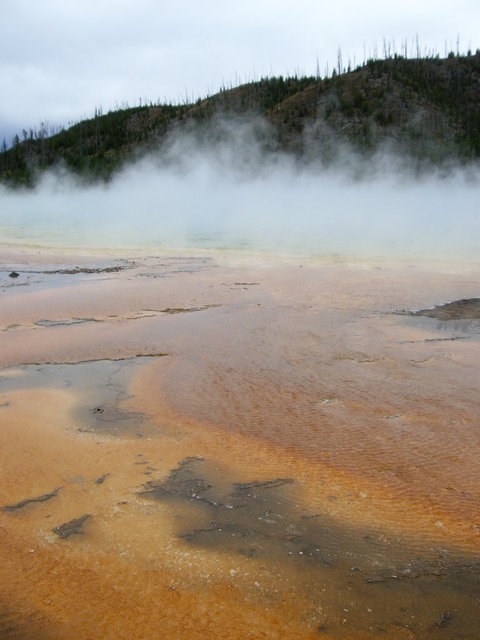 yellowstone2008 106.jpg