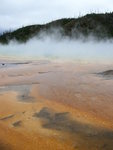 yellowstone2008 106.jpg