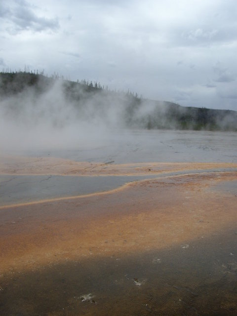 yellowstone2008 107.jpg