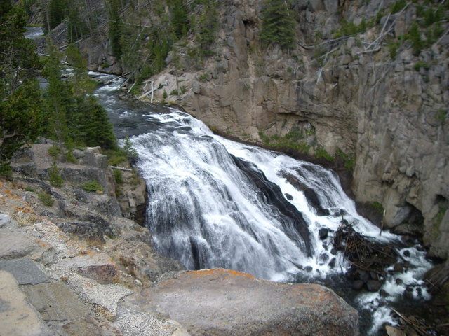 yellowstone2008 108.jpg