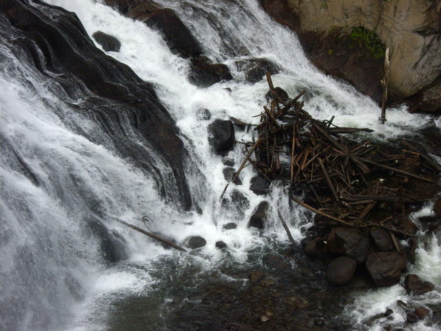 yellowstone2008 111.jpg