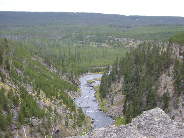 yellowstone2008 112.jpg