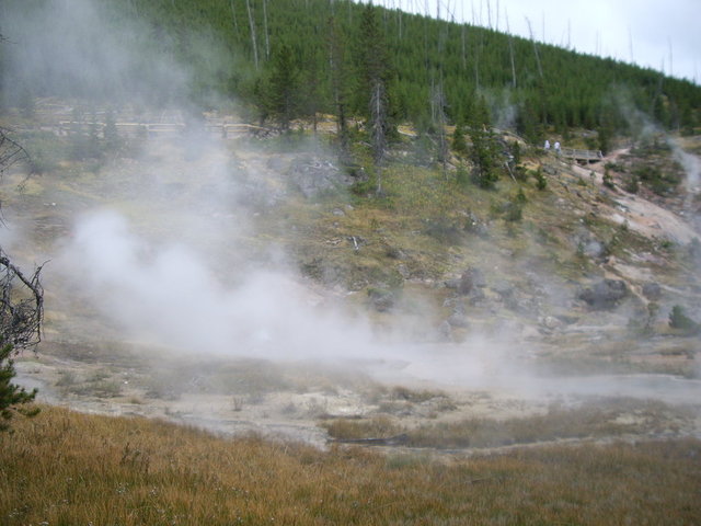 yellowstone2008 113.jpg