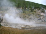 yellowstone2008 113.jpg