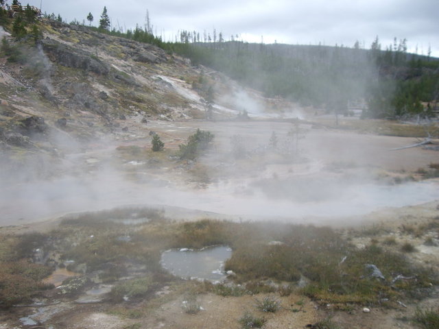 yellowstone2008 114.jpg