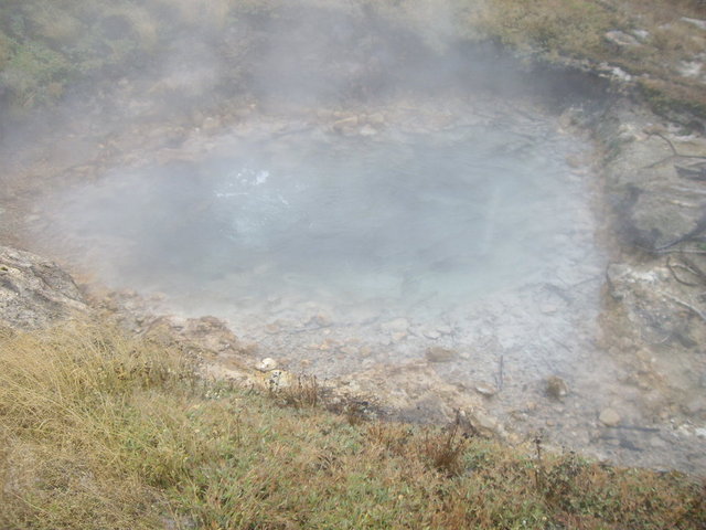 yellowstone2008 116.jpg