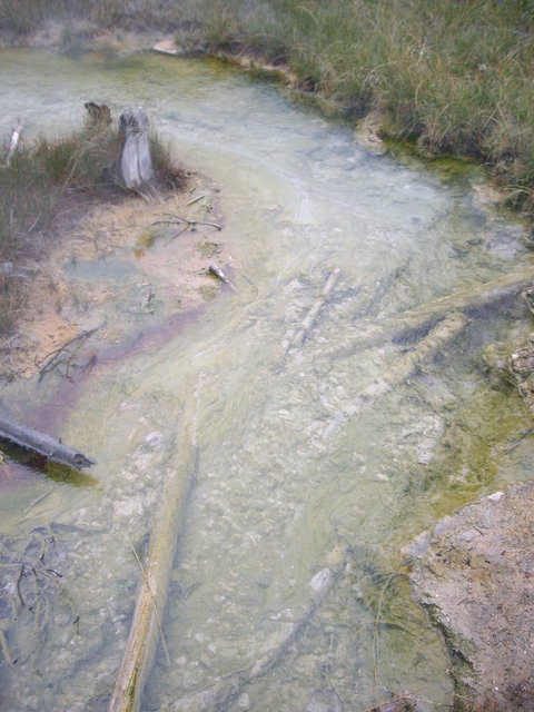 yellowstone2008 118.jpg