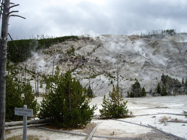 yellowstone2008 123.jpg