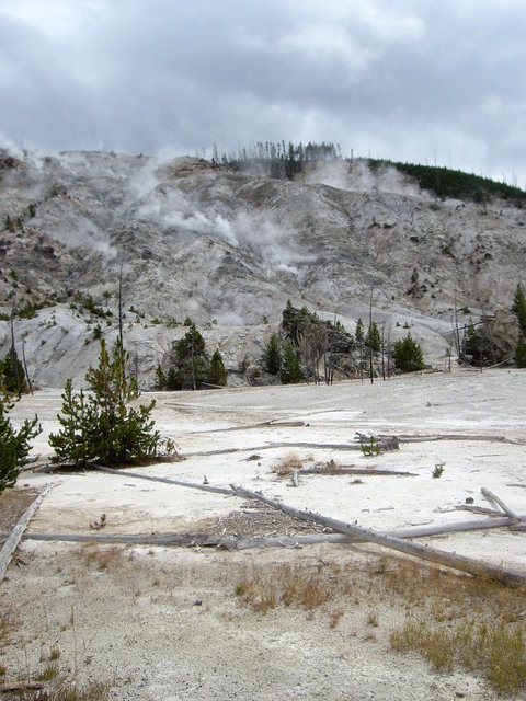 yellowstone2008 124.jpg