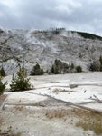 yellowstone2008 124.jpg