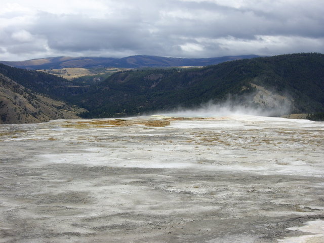 yellowstone2008 126.jpg