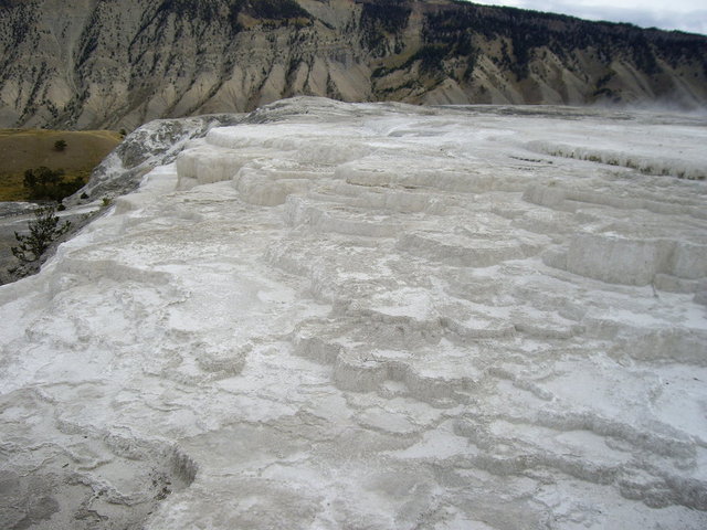 yellowstone2008 129.jpg