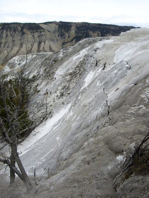 yellowstone2008 131.jpg