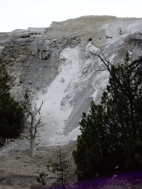 yellowstone2008 132.jpg