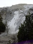 yellowstone2008 132.jpg