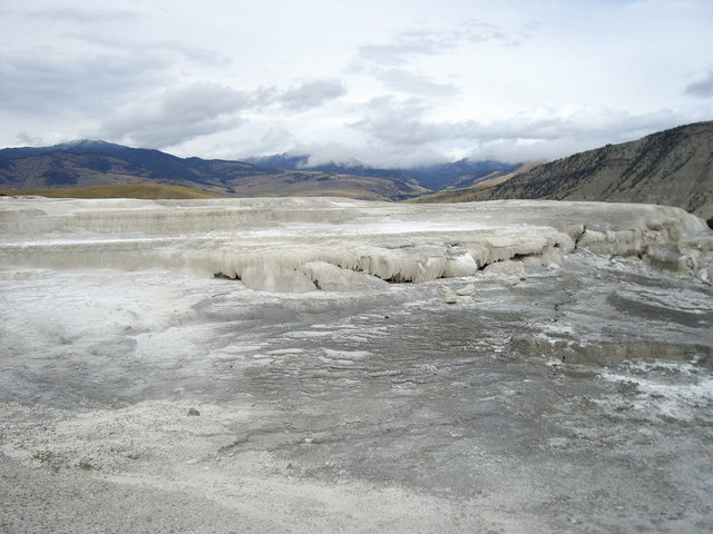 yellowstone2008 133.jpg
