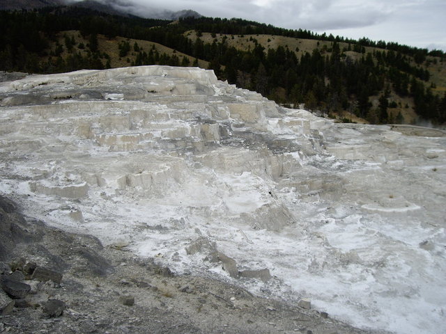 yellowstone2008 135.jpg