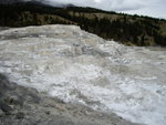 yellowstone2008 135.jpg
