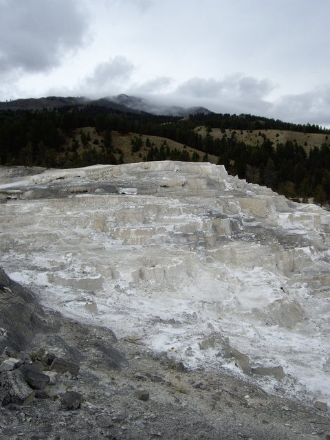 yellowstone2008 136.jpg