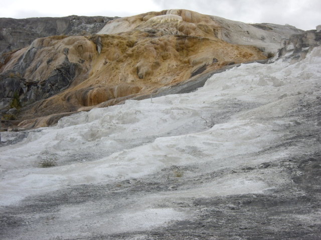 yellowstone2008 140.jpg