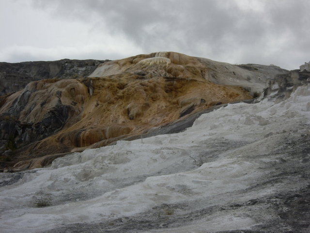 yellowstone2008 141.jpg