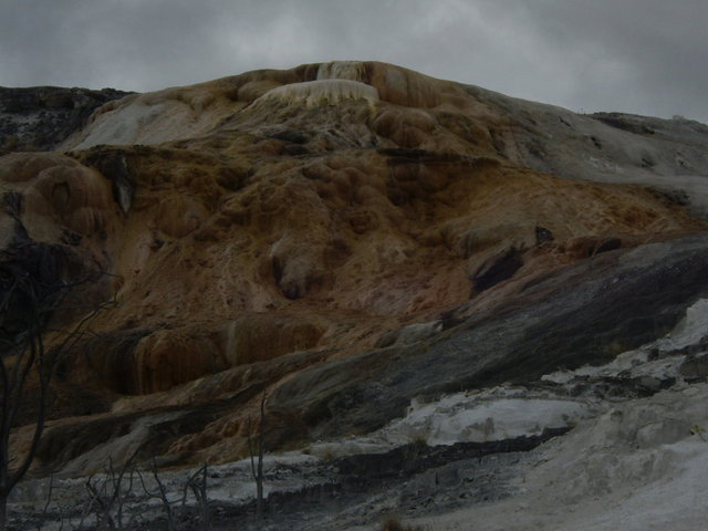 yellowstone2008 142.jpg