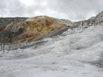 yellowstone2008 143.jpg