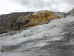 yellowstone2008 144.jpg