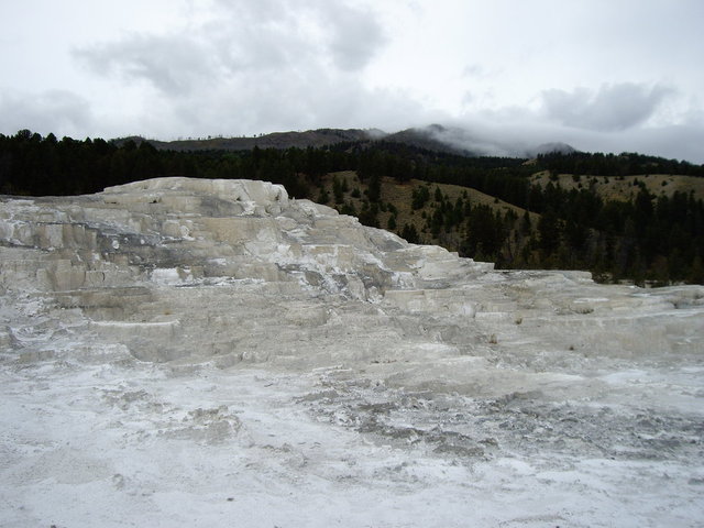 yellowstone2008 145.jpg