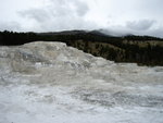 yellowstone2008 145.jpg