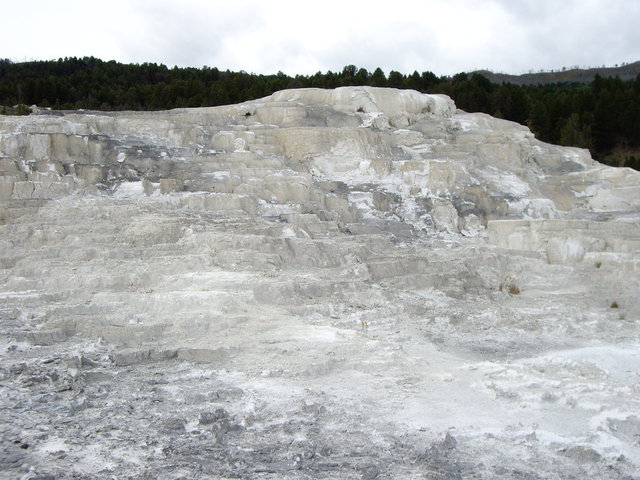 yellowstone2008 146.jpg