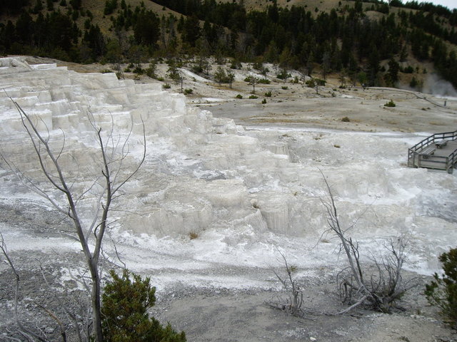 yellowstone2008 148.jpg