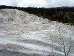 yellowstone2008 149.jpg
