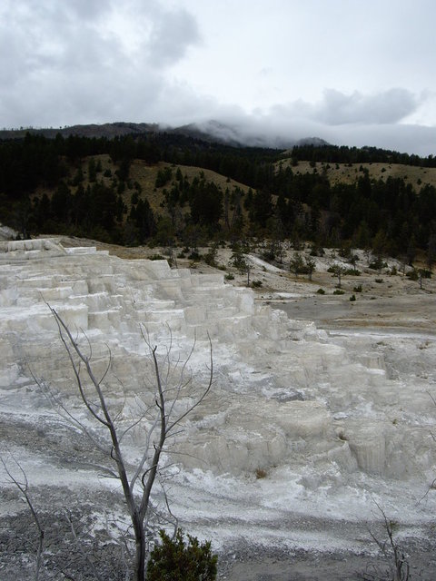 yellowstone2008 150.jpg